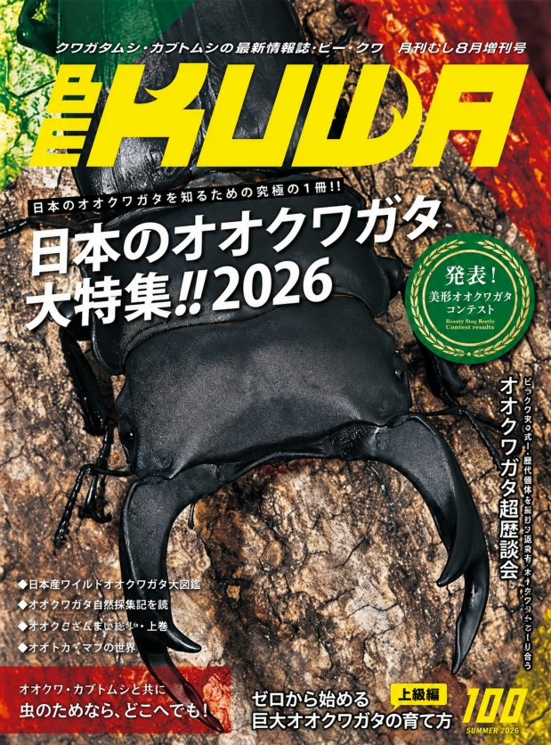 ビークワ100号(日本のオオクワガタ大特集!!)