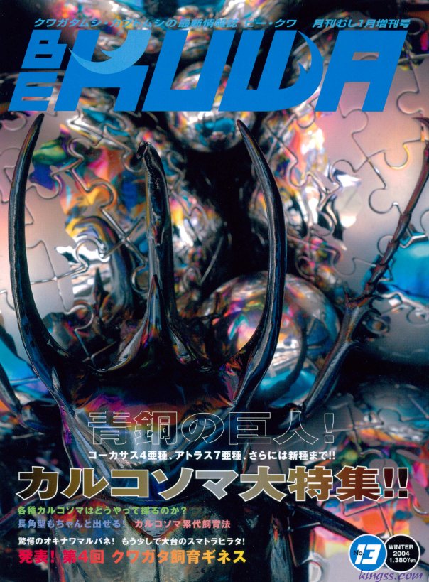 ビークワ13号 青銅の巨人 カルコソマ大特集