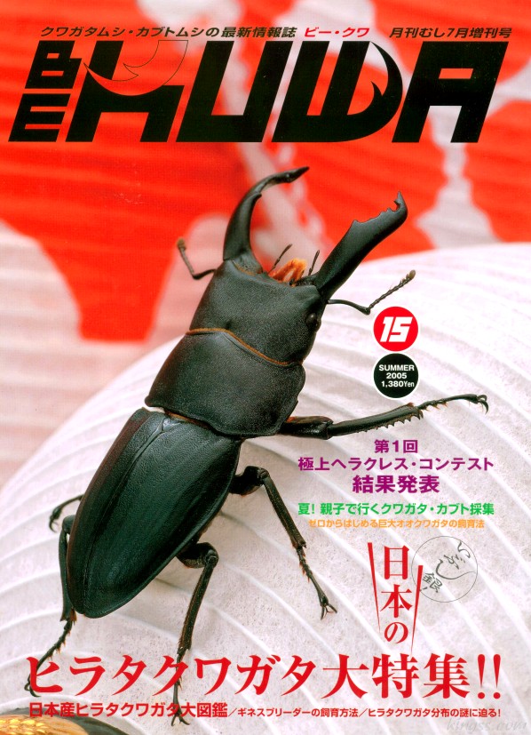 雑誌 BE KUWA ビー クワ 15冊 セット