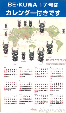 ビークワ17号は2006年カレンダー付き