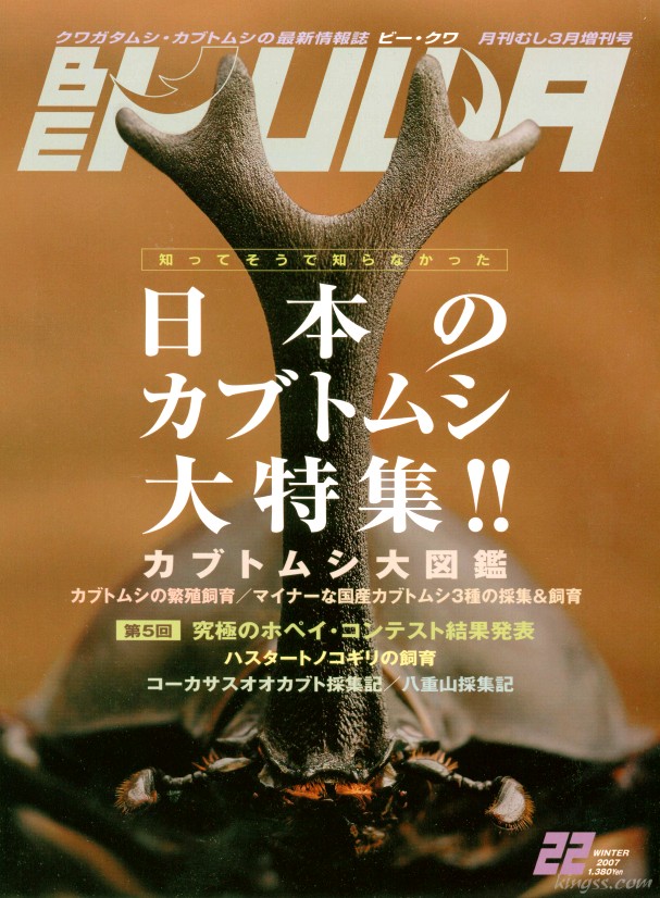 ビークワ22号 日本のカブトムシ大特集 / カブトムシの繁殖飼育