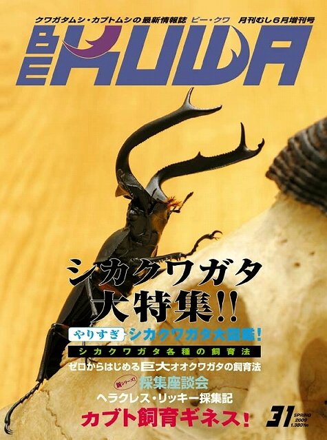ビークワ31号 シカクワガタ大特集
