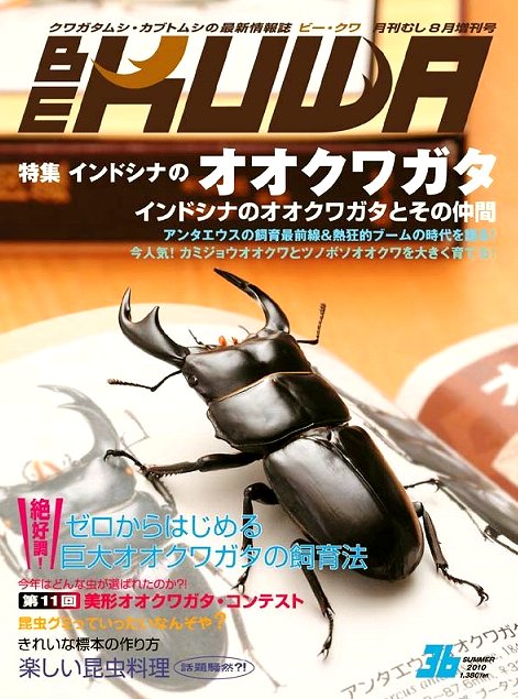 雑誌 BE KUWA ビー クワ 15冊 セット