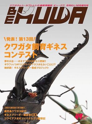 ビークワ49号(クワガタ飼育ギネス コンテスト!!)