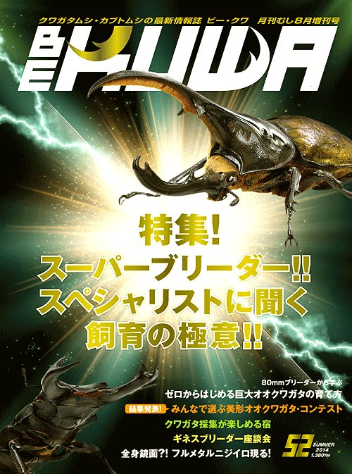 ビークワ52号(飼育の極意大特集!!)