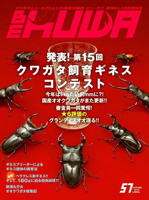 ビークワ57号(発表! 第15回 クワガタ飼育ギネス コンテスト!!)