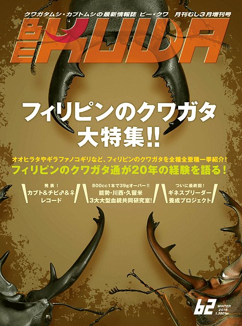 ビークワ62号(フィリピンのクワガタ大特集!!)