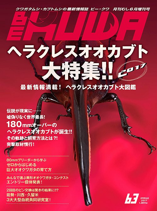 ビークワ63号（BE・KUWA） ヘラクレスオオカブト大特集!!