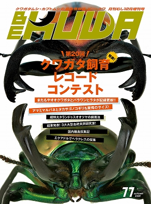 ビークワ77号(第20回 クワガタ飼育レコードコンテスト!!)