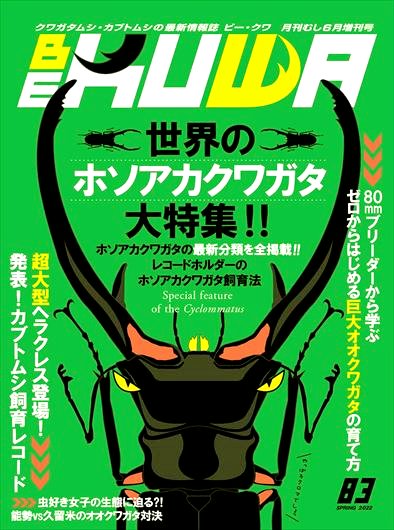 ビークワ83号(世界のホソアカクワガタ大特集!!!!)