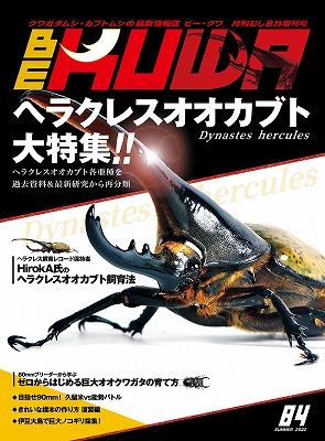 ビークワ84号(ヘラクレスオオカブト大特集!!)