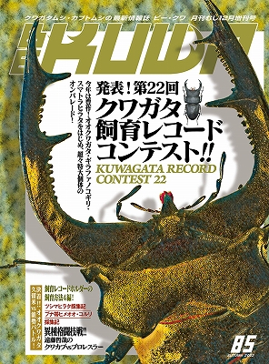 ビークワ85号(クワガタ飼育レコードコンテスト!!)