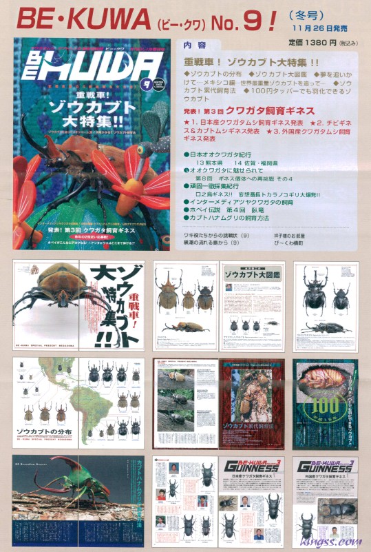 ゾウカブト大特集