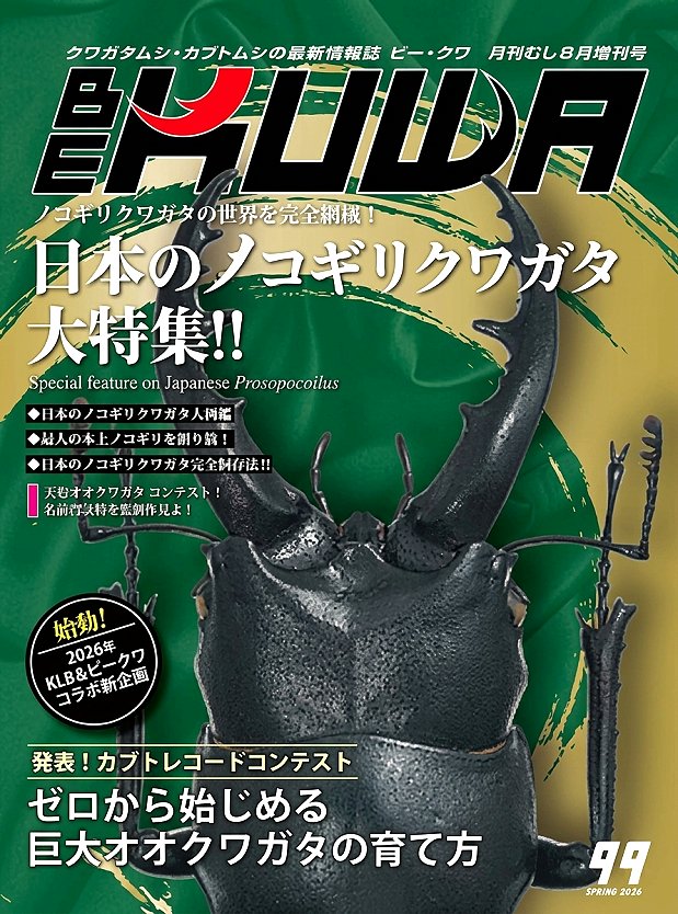 ビークワ99号(日本のノコギリクワガタ大特集!!)