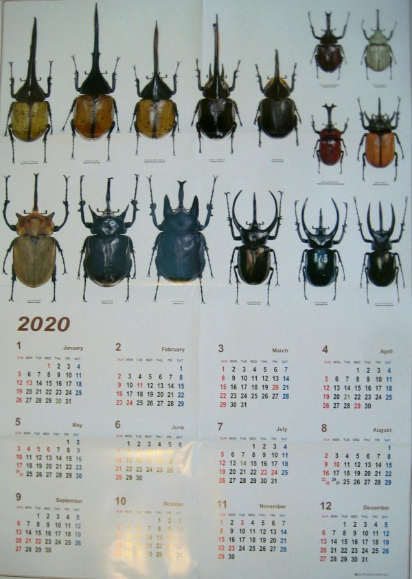むし社2020年度版カレンダー