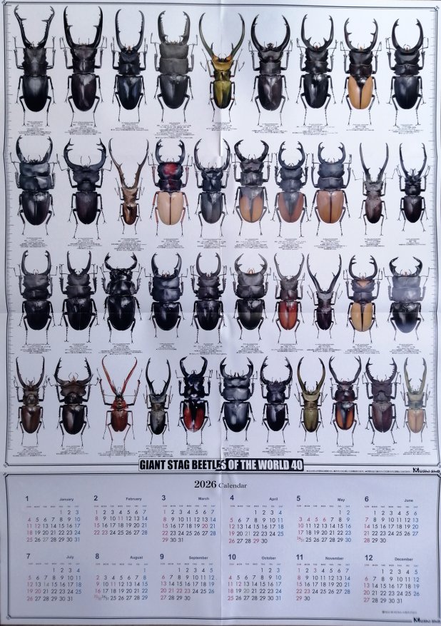 �ނ��ЂQ�O�Q�U�N�x�ŃJ�����_�[