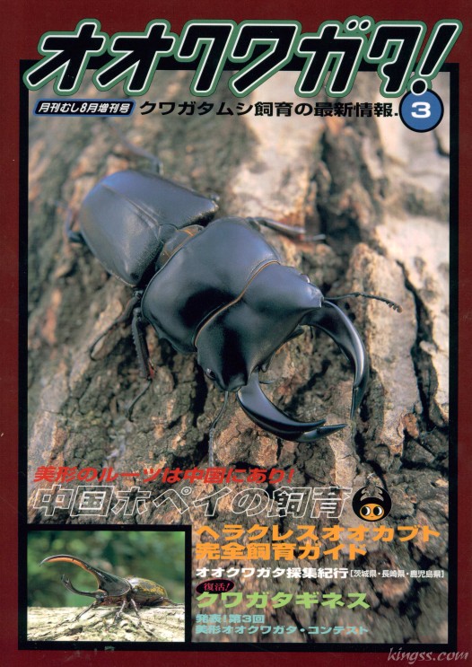 月間むし オオクワガタ！3