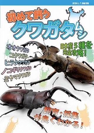 初めて飼うクワガタムシ(人気クワガタ・カブトムシの飼育方法と採集方法。)