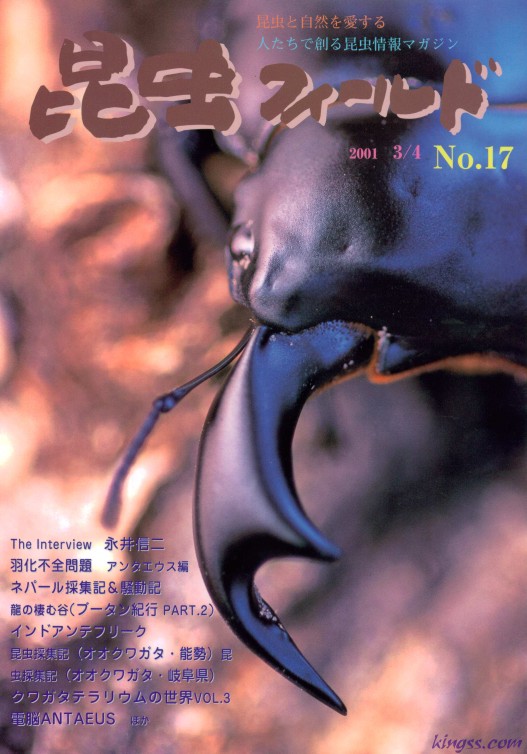 昆虫フィールド17号 羽化不全問題アンタエウス編/オオクワガタ採集