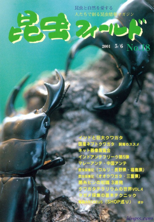 昆虫フィールド18号 国産ネブトクワガタの飼育/タガメの採集