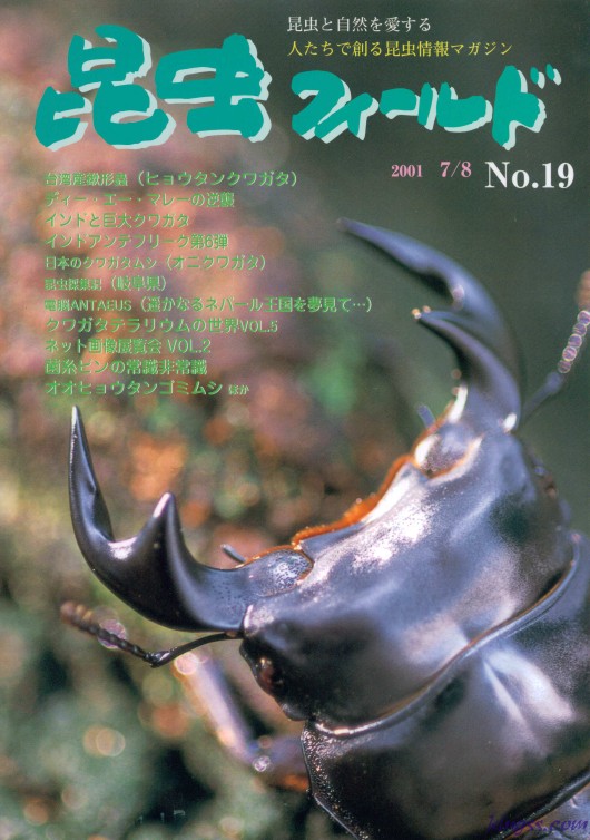 昆虫フィールド19号 マレーアンタエウス/オニクワガタ