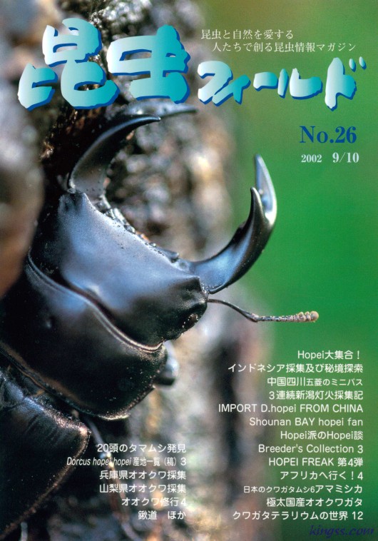 昆虫フィールド２６号　中国ホーペ大集合/アマミシカクワガタ/兵庫県オオクワ採集