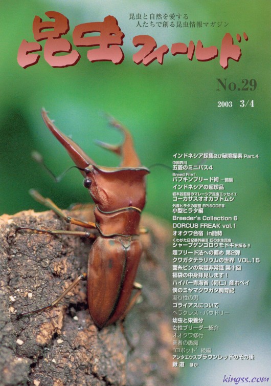 昆虫フィールド２９号　パプキンのブリード/幼虫の栄養分