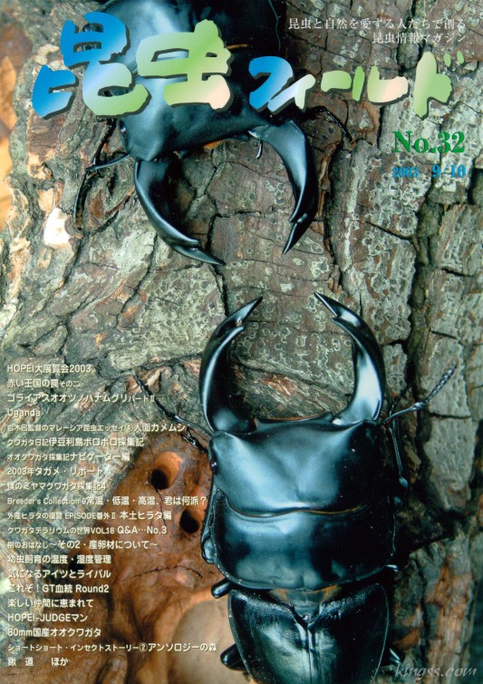 昆虫フィールド32号 中国ホーペ オオクワガタ/ゴライアスオオツノハナムグリ