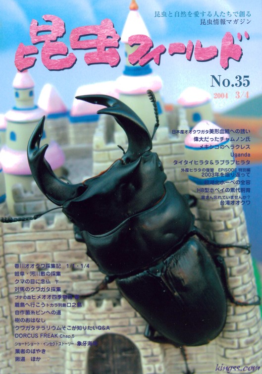 昆虫フィールド35号 オオクワガタ美形血統/超湖北ホーペの全容