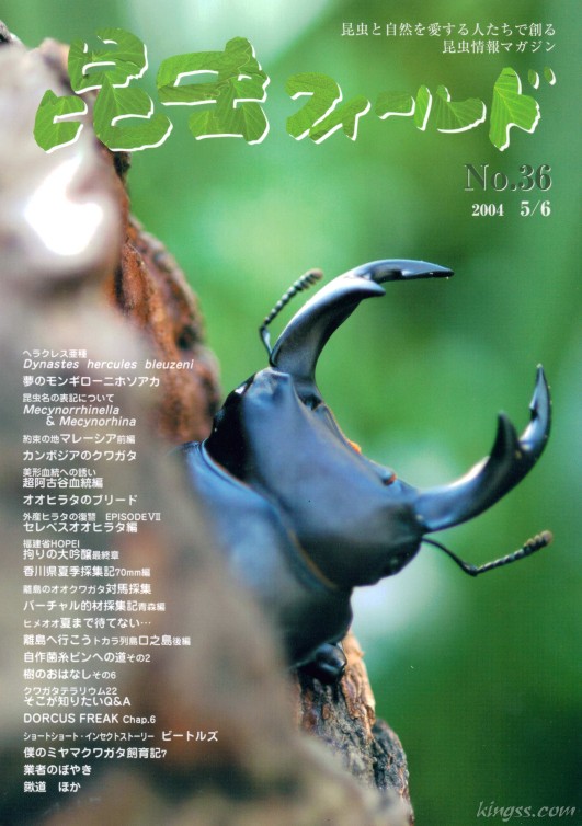昆虫フィールド36号 オオクワガタ阿古谷血統/オオヒラタのブリード