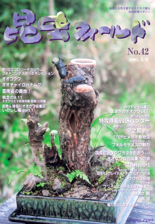 昆虫フィールド42号 オオクワガタ樹液採集/中国グランディス フォルモサヌスの魅力