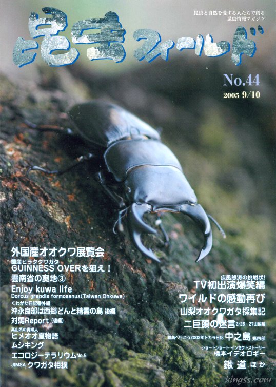 昆虫フィールド44号 台湾オオクワの飼育/オオクワ展覧会