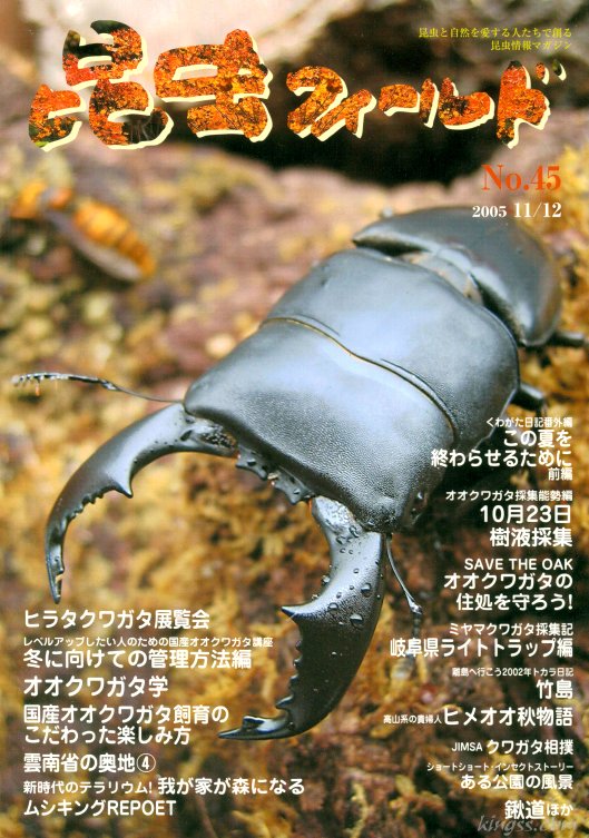 昆虫フィールド45号 ヒラタクワガタ展覧会/オオクワ講座