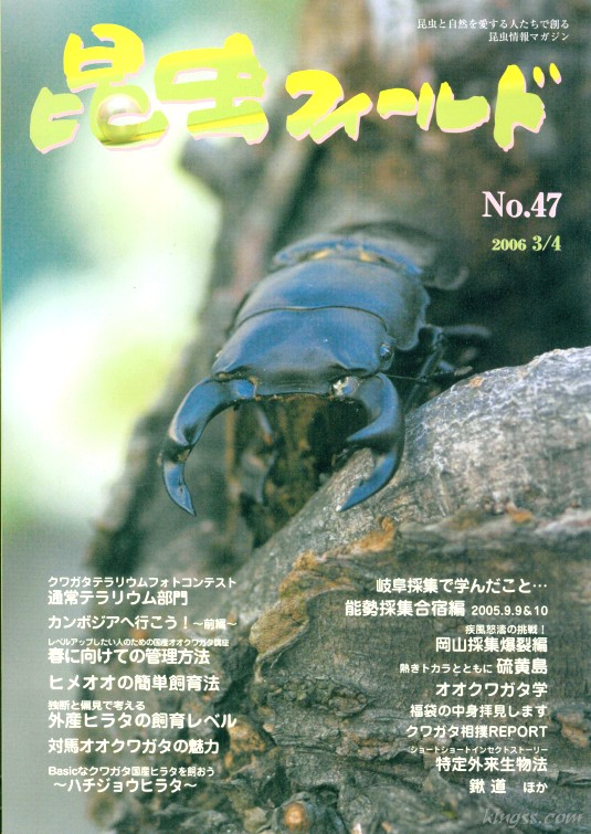 昆虫フィールド47号 外産ヒラタの飼育レベル/春に向けての管理