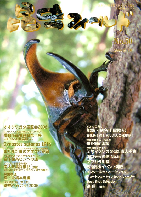 昆虫フィールド50号 オオクワガタ展覧会 / サタンオオカブトの蛹化