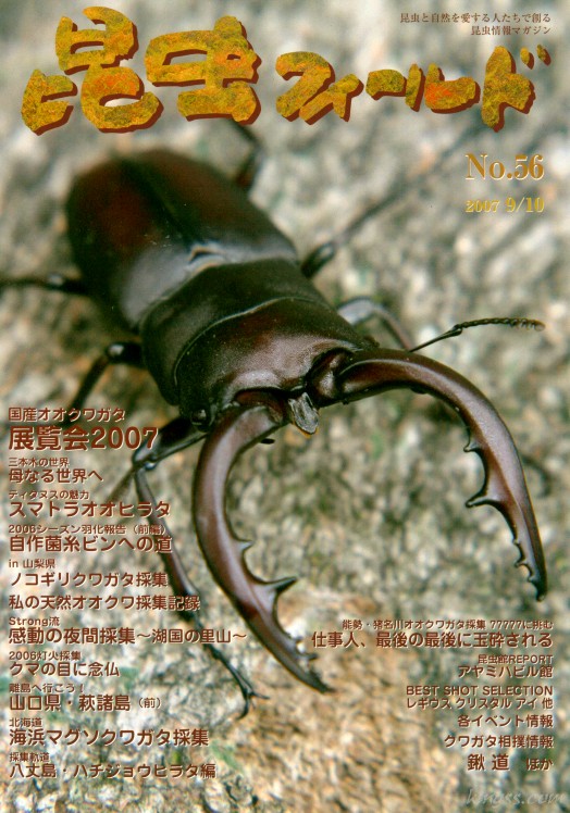 昆虫フィールド５６号　ティタヌスの魅力 - スマトラオオヒラタ