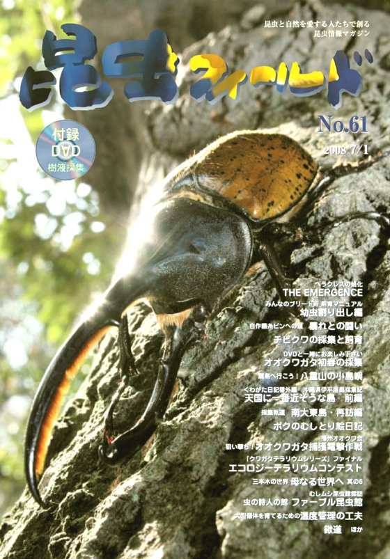 昆虫フィールド61号 幼虫割り出し編 / 温度管理の工夫
