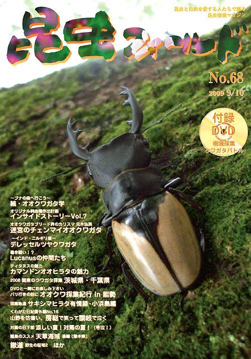 昆虫フィールド68号 カマンドンオオヒラタの魅力