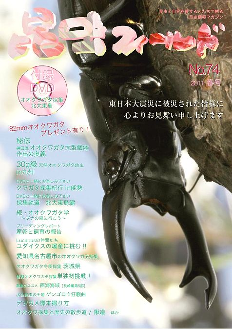 昆虫フィールド74号 オオクワガタ大型個体作出の奥義