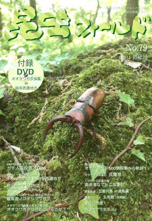 昆虫フィールド79号 オオクワガタ人気投票