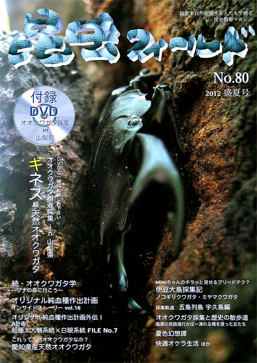 昆虫フィールド80号 オオクワガタ人気投票