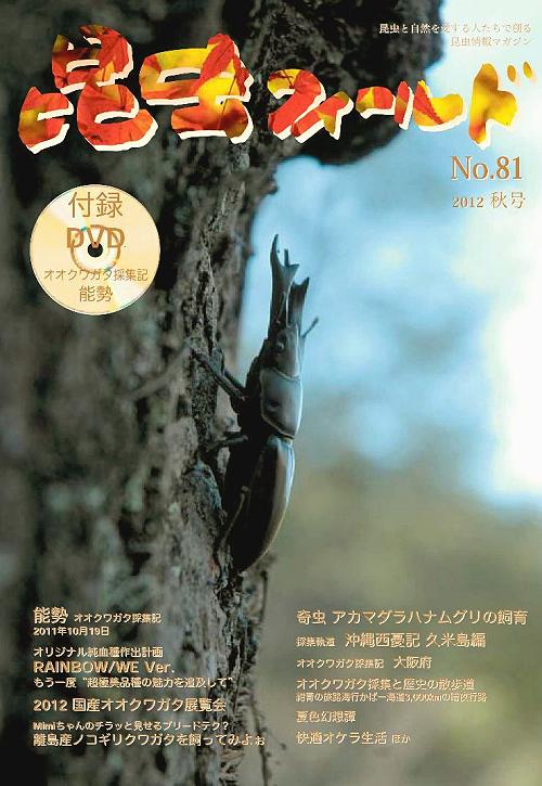 昆虫フィールド81号 展覧会・ニジイロ・離島ノコギリ