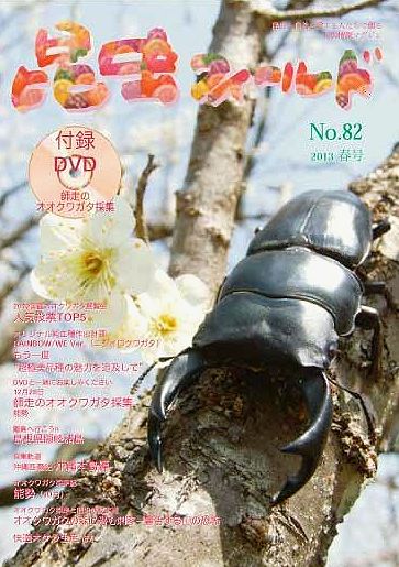 昆虫フィールド８２号 展覧会・ニジイロ・離島ノコギリ