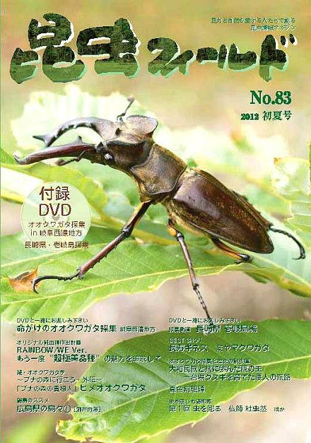 昆虫フィールド83号 ニジイロ・ヒメオオ・昆虫採集