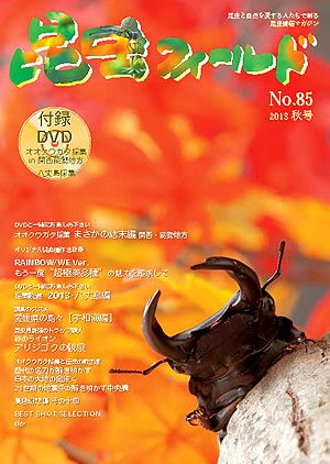 昆虫フィールド85号 ニジイロ・ヒメオオ・昆虫採集