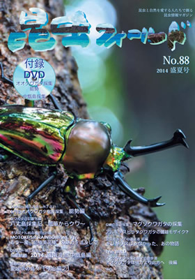 昆虫フィールド88号 ニジイロ・ヒメオオ・昆虫採集