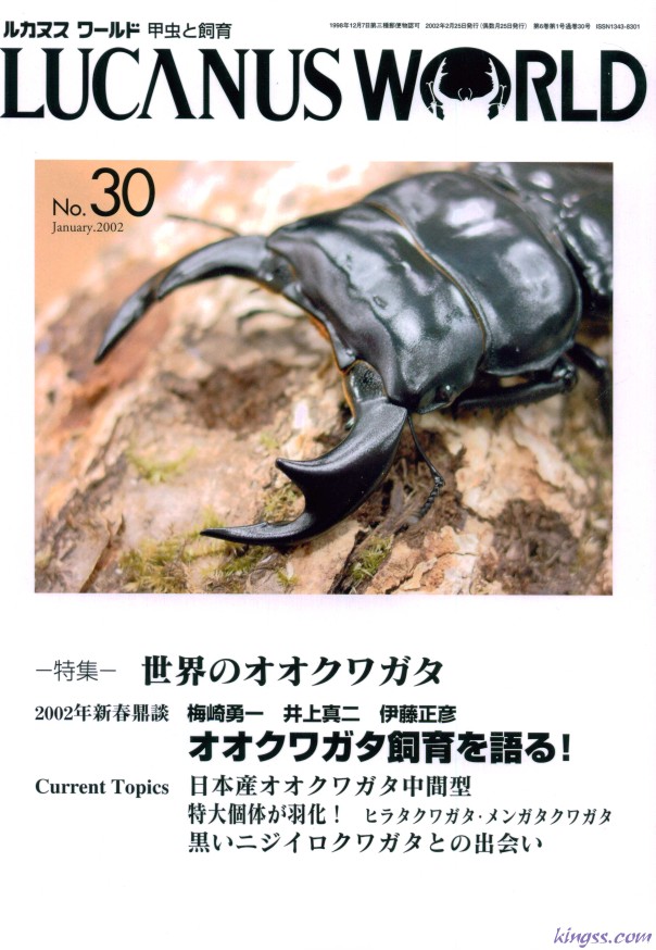 ルカヌスワールド 30号 ニジイロクワガタのノーマル型と黒化型との色彩変異