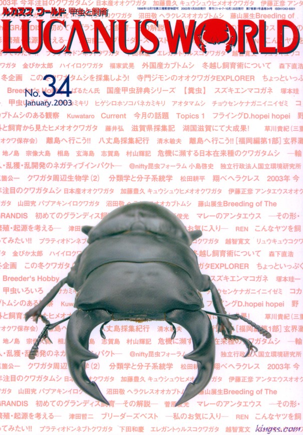 ルカヌスワールド 34号 初めてのグランディス飼育/冬越し飼育術