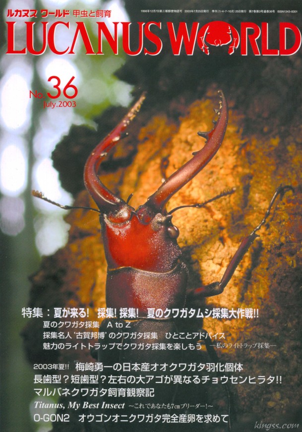 ルカヌスワールド 36号 オウゴンオニクワガタ完全産卵を求めて/日本産オオクワガタ美形血統への誘い
