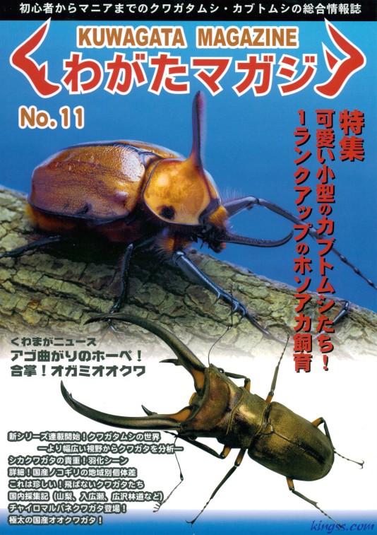 くわがたマガジン11号 日本産ノコギリクワガタの飼育方法